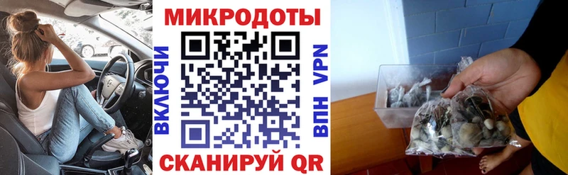 где найти   Пудож  Галлюциногенные грибы мухоморы 