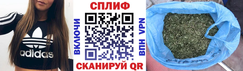 Конопля Bruce Banner  где можно купить   OMG tor  Пудож 